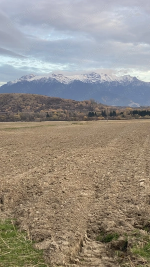 Vand teren in Zarnesti, suprafața de 3884mp