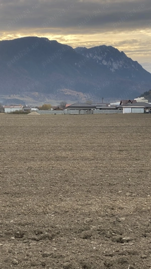 Vand teren in Zarnesti, suprafața de 3884mp - imagine 5