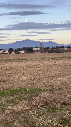 Vand teren in Zarnesti, suprafața de 3884mp - imagine 2