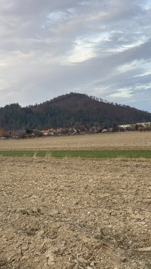 Vand teren in Zarnesti, suprafața de 3884mp - imagine 4