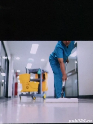 curatenie la domiciliu si zugraveli 