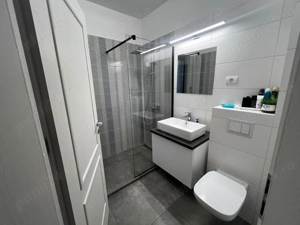 Proprietar   Închiriez casă modernă în Dumbrăvița, strada Alexandru Macedon - imagine 10