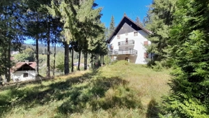 De vanzare in Timis de Sus, pensiune montana in stilul arhitectural al cabanelor austriece