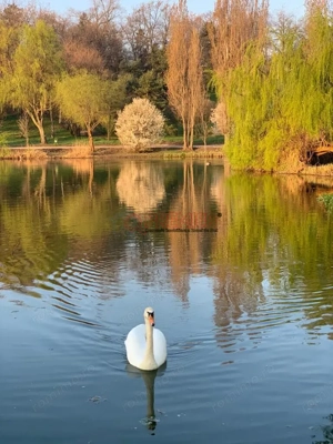 OCAZIE! 2 camere Tineretului - Bloc reabilitat - 4 min Metrou