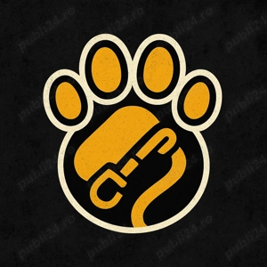 Pet sitter,Plimbări câini 