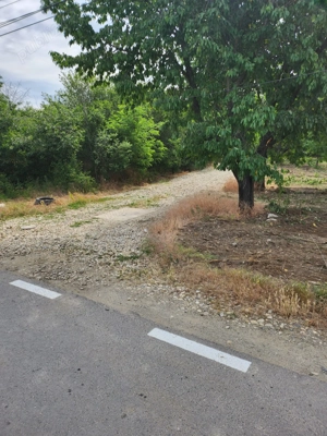 Teren de vanzare Domnesti, Ilfov - imagine 2