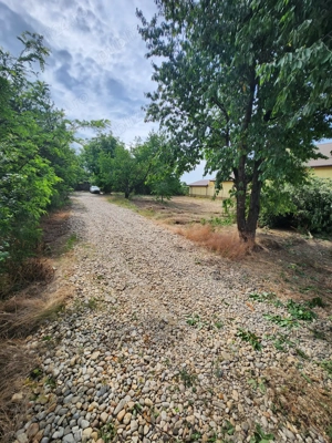 Teren de vanzare Domnesti, Ilfov - imagine 3