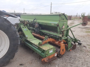 Semanatoare paioase  Amazone 