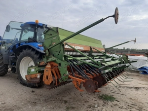 Semanatoare paioase  Amazone  - imagine 4