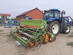 Semanatoare paioase  Amazone  - imagine 2