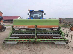 Semanatoare paioase  Amazone  - imagine 5