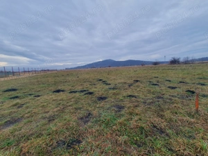 Teren de vânzare în Hărman 