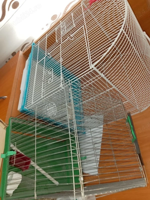 Vând colivii diferite modele ,folosite puțin, aproape noi. - imagine 2