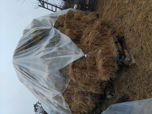 Baloți de fin dreptunghilari de vinzare Fibiș Timiș.