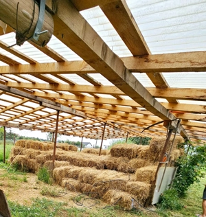 Vand Casa+Teren, zona CIcarlau, pret usor negociabil! - imagine 3