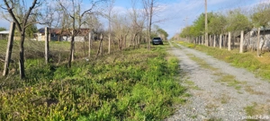 TEREN intravilan de vânzare în Stănești Județul Giurgiu 1500 - imagine 2