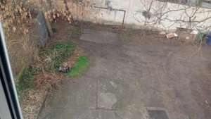 inch ap 2 cam in vila central - imagine 10