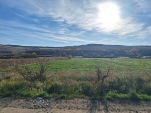 Vând teren in Stanciova