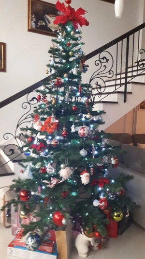 Vand Brad Craciun Artificial 250 CM