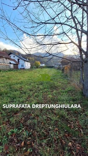 Teren intravilan Calimanesti-Seaca cu acces la DN latime 19ml - imagine 8