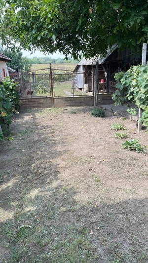 Casă de vanzare, bonus teren intravilan, suprafata totala 3600 mp - imagine 4