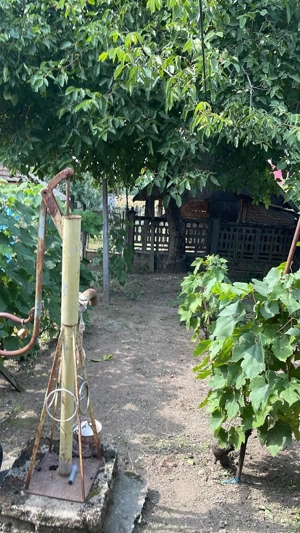 Casă de vanzare, bonus teren intravilan, suprafata totala 3600 mp - imagine 3