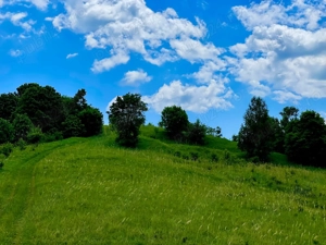 Terenuri extravilane de vânzare   Cozieni, jud. Buzău  - imagine 3