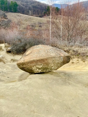 Terenuri extravilane de vânzare   Cozieni, jud. Buzău  - imagine 4