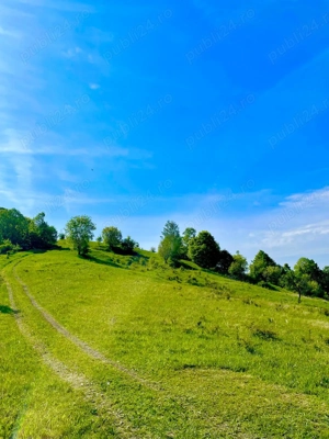 Terenuri extravilane de vânzare   Cozieni, jud. Buzău  - imagine 2