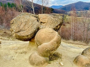 Terenuri extravilane de vânzare   Cozieni, jud. Buzău  - imagine 7