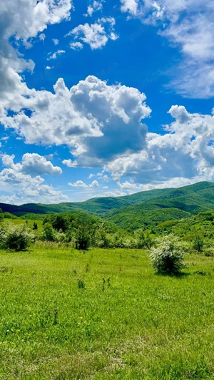 Terenuri extravilane de vânzare   Cozieni, jud. Buzău  - imagine 9