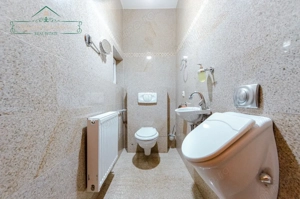 Vila de Lux 7 camere, Ideala rezidențial + afacere, zona Ultracentral, Arad - imagine 12