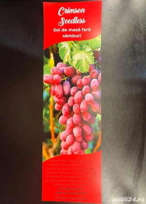 Butași viță de vie ambalați  - imagine 3