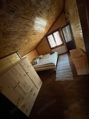 Cabana figa Beclean   - imagine 2