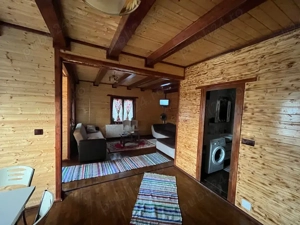 Cabana figa Beclean   - imagine 3