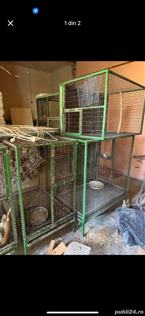 vand cusca colivie tarc