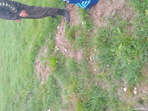 vand teren itrevilan