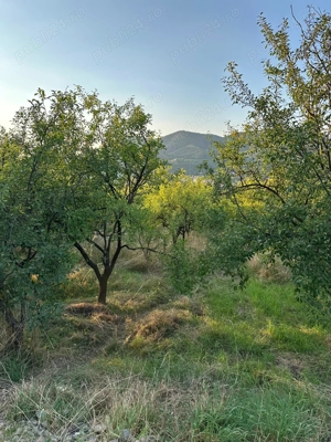 Teren intravilan 1.000 mp   locație deosebită, priveliște și liniște   Simleu Silvaniei - imagine 3