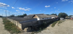 Ferma 6000 mp (cladiri, grajduri, hambar - intravilan)