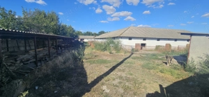 Ferma 6000 mp (cladiri, grajduri, hambar - intravilan) - imagine 3