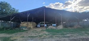 Ferma 6000 mp (cladiri, grajduri, hambar - intravilan) - imagine 8