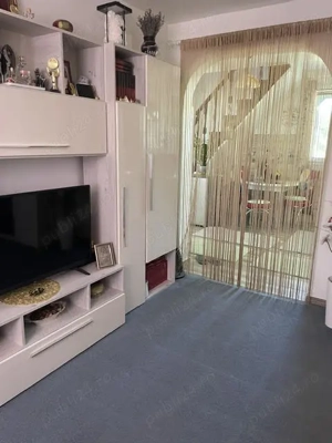 Teren 11.672 mp cu 2 case funcționale   Tărian, lângă Oradea - imagine 9