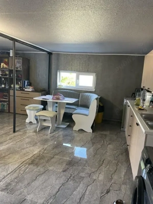 Teren 11.672 mp cu 2 case funcționale   Tărian, lângă Oradea - imagine 4