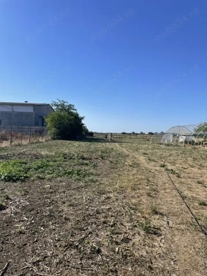 Teren 11.672 mp cu 2 case funcționale   Tărian, lângă Oradea - imagine 13