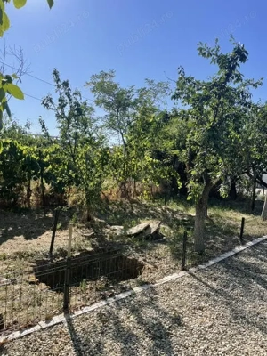 Teren 11.672 mp cu 2 case funcționale   Tărian, lângă Oradea - imagine 17