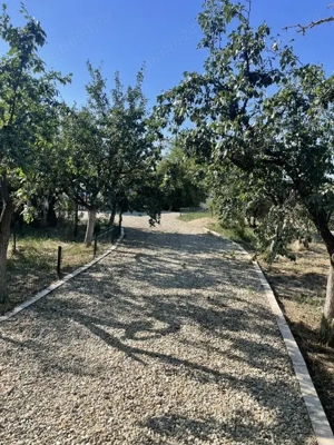 Teren 11.672 mp cu 2 case funcționale   Tărian, lângă Oradea - imagine 16