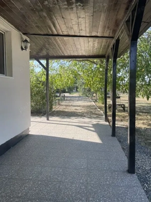 Teren 11.672 mp cu 2 case funcționale   Tărian, lângă Oradea - imagine 19