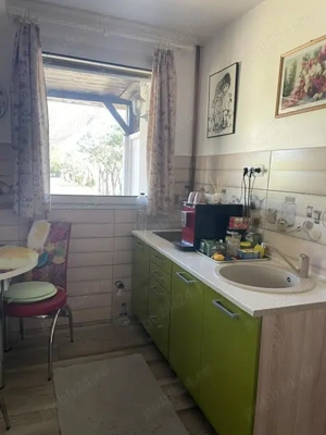 Teren 11.672 mp cu 2 case funcționale   Tărian, lângă Oradea - imagine 11