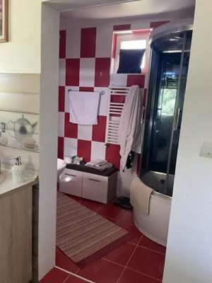 Teren 11.672 mp cu 2 case funcționale   Tărian, lângă Oradea - imagine 12