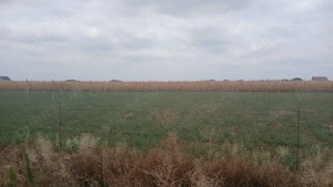 Teren intravilan 503 mp   Livada de Bihor, la doar câțiva km de Oradea